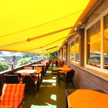 Alcor Loewen 3*